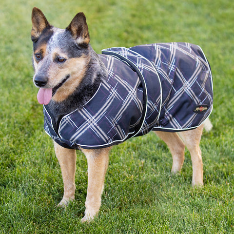 Kensington Signature Winter Dog Coat with Chest Wrap (180g)