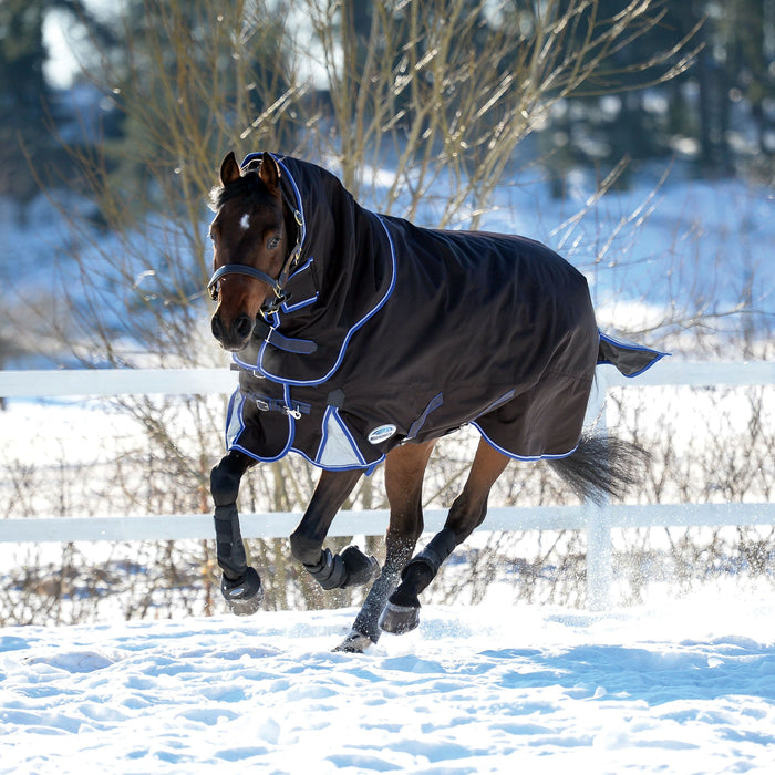 WeatherBeeta ComFiTec Ultra Cozi II Detach-A-Neck Turnout Blanket (360g Heavy) - Closeout