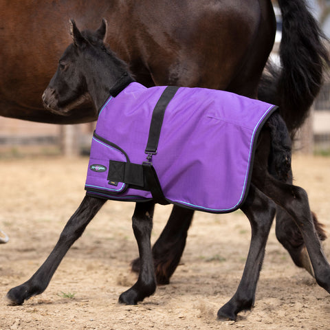 Kensington Foal Adjustable Turnout Blanket (180g Medium)