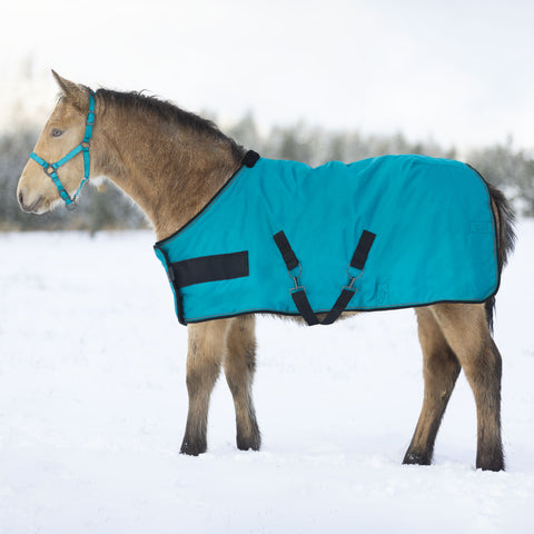 Kensington Yearling Adjustable Turnout Blanket (180g Medium)