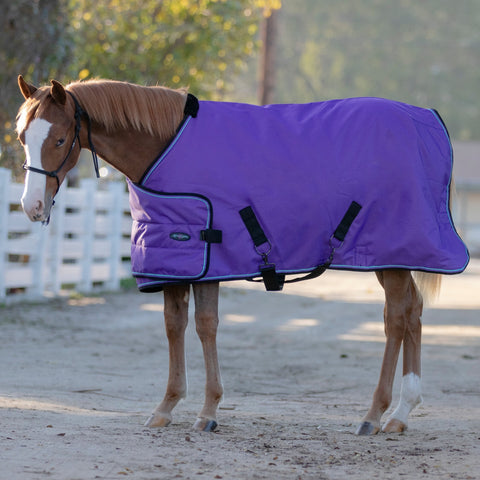 Kensington Yearling Adjustable Turnout Blanket (180g Medium)