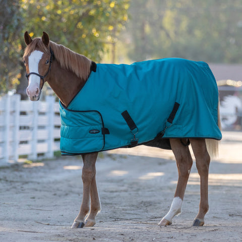 Kensington Weanling Adjustable Turnout Blanket (180g Medium)