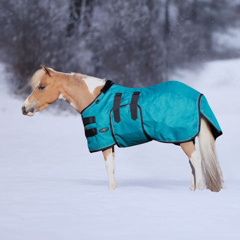 Kensington Mini Signature Turnout Blanket (300g Heavy)