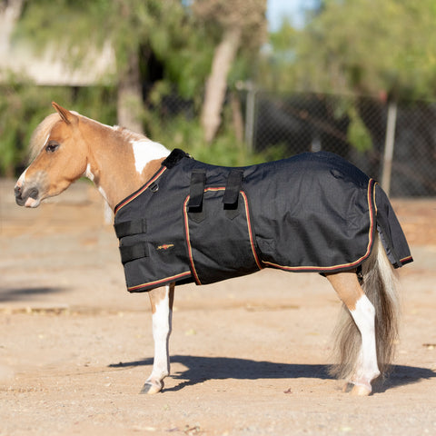 Kensington Mini Signature Turnout Blanket (80g Medium-Lite)