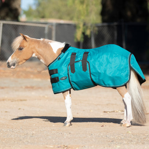 Kensington Mini Signature Turnout Blanket (80g Medium-Lite)