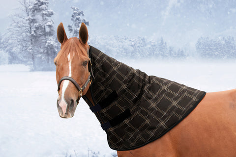 Kensington Signature Neck Warmer (180g Medium)