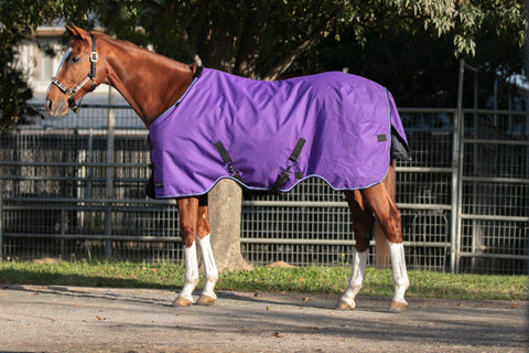 Kensington Signature Turnout Blanket (80g Medium-Lite)