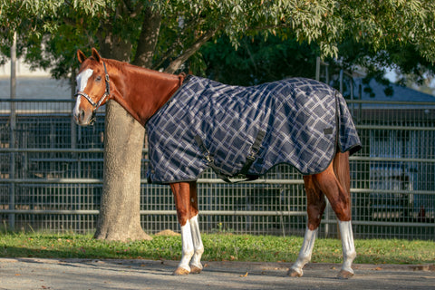 Kensington Signature Turnout Blanket (80g Medium-Lite)