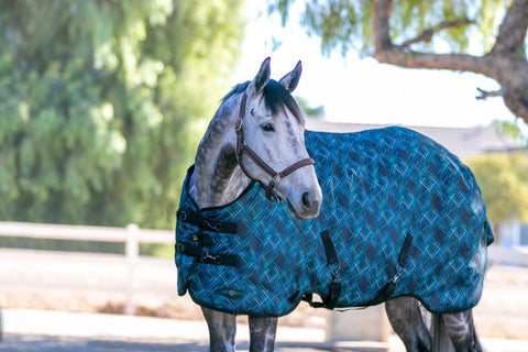 Kensington Pony Signature Turnout Blanket (80g Medium-Lite)