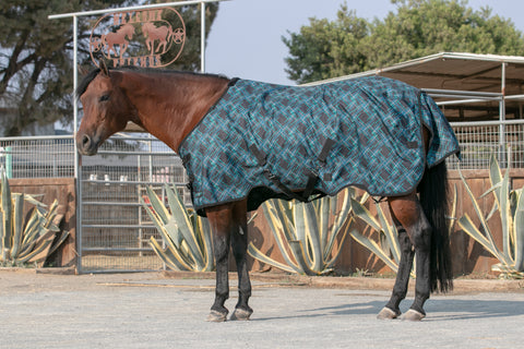 Kensington Signature Turnout Blanket (80g Medium-Lite)