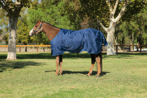 Kensington Pony Signature Turnout Blanket (80g Medium-Lite)