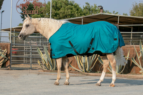 Kensington Signature Turnout Blanket (80g Medium-Lite)