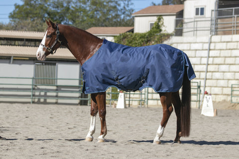 Kensington Signature Turnout Blanket (80g Medium-Lite)