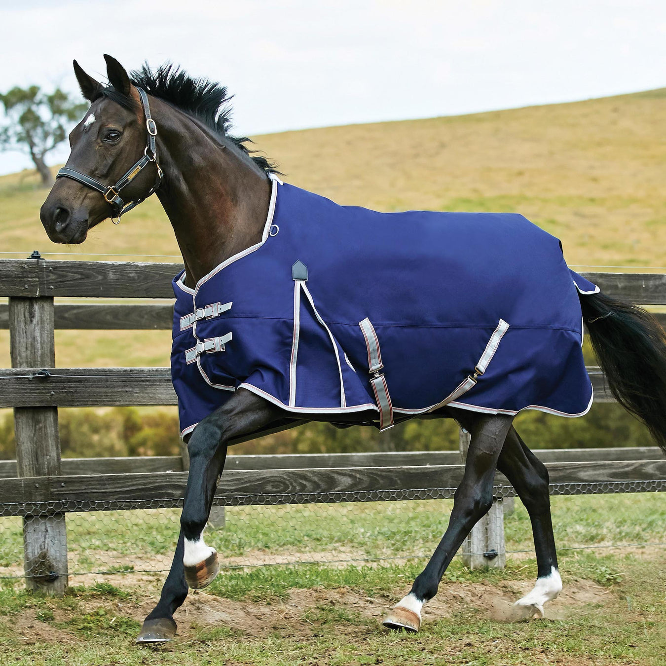 WeatherBeeta ComFiTec Essential Standard Neck Turnout Blanket (220g Medium) in Navy with Silver/Red Trim