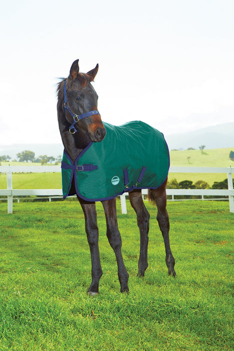 WeatherBeeta 1200D Foal II Standard Neck Turnout Blanket (220g Medium)