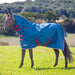 Shires Tempest Original Turnout Sheet (0g Lite) in TEAL - On Horse 