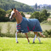 Shires Tempest Original Turnout Sheet (0g Lite) in TEAL - On Horse