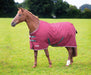 Shires Tempest Original Turnout Blanket (200g Medium)