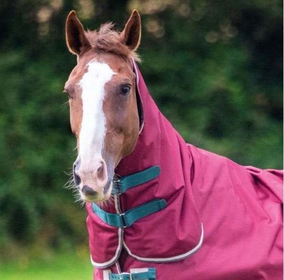 Shires Tempest Original Turnout Neck Cover (200g Medium)