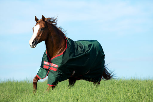 Rambo 1000D Turnout Sheet (0g Lite) in Green (Red Trim) - On horse running in pasture