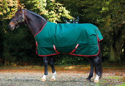 Rambo 1000D Turnout Sheet (0g Lite) in Green (Red Trim) - On horse