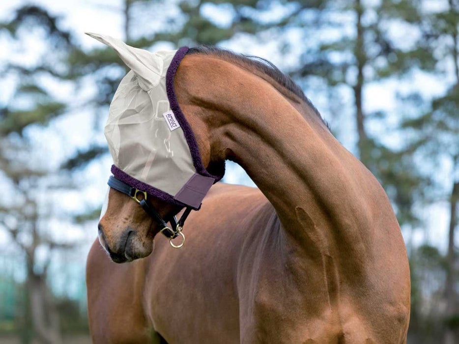 Amigo Fine Mesh Fly Mask With Ears - Closeout