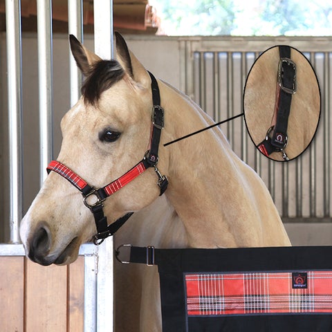 Kensington Premium Nylon Breakaway Halter