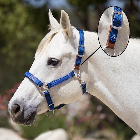 Kensington Premium Nylon Breakaway Halter