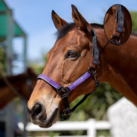 Kensington Premium Nylon Breakaway Halter