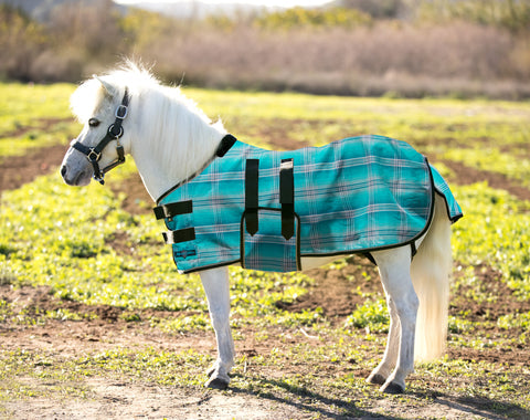 Kensington Miniature Horse Protective Fly Sheet (No Fill)