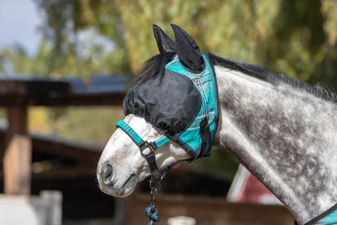 Kensington UViator Dartless Draft Fly Mask with Web Trim & Soft Ears w/Forelock Opening