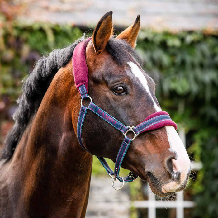 Rambo Padded Halter