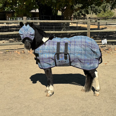 Kensington Miniature Horse Protective Fly Sheet (No Fill)