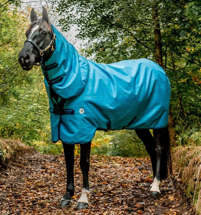 Amigo Hero 900 Revive Plus Turnout Blanket (200g Medium + Hood + Disc Front)