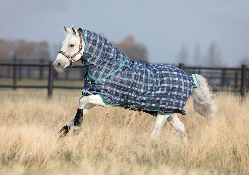 Rhino Plus Pony Turnout Blanket (200g Medium, 100g Hood)