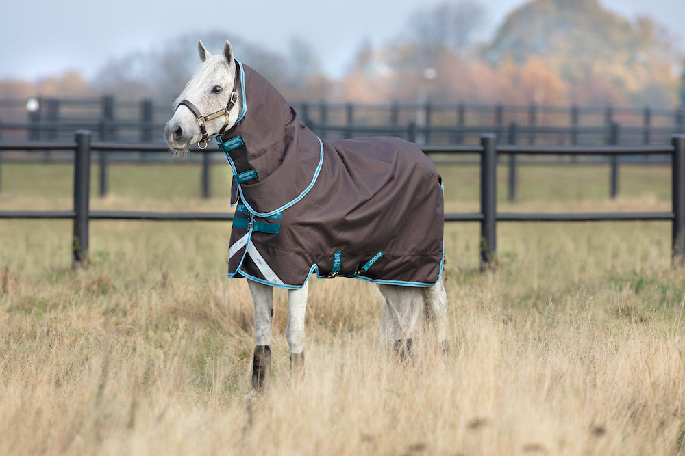 Amigo Bravo 12 Plus Pony Turnout Sheet (0g Lite, 0g Hood)