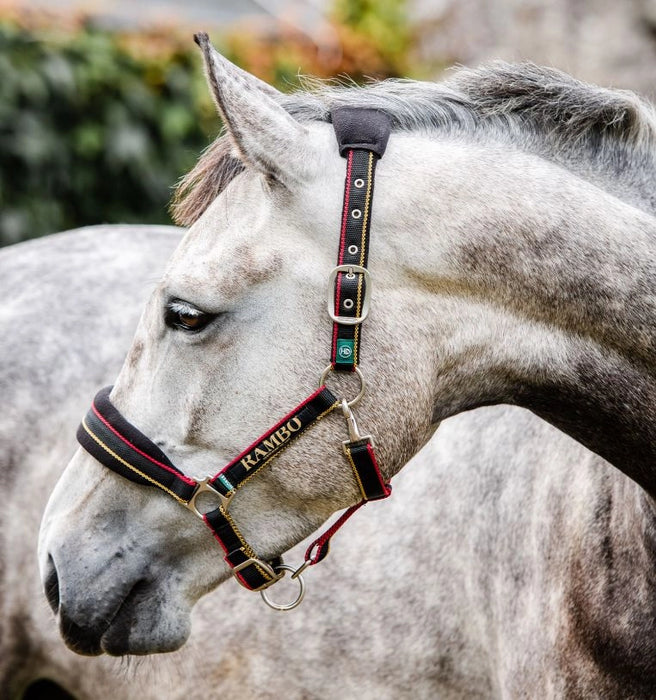 Rambo Padded Halter