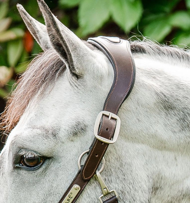 Horseware Signature Braided Halter