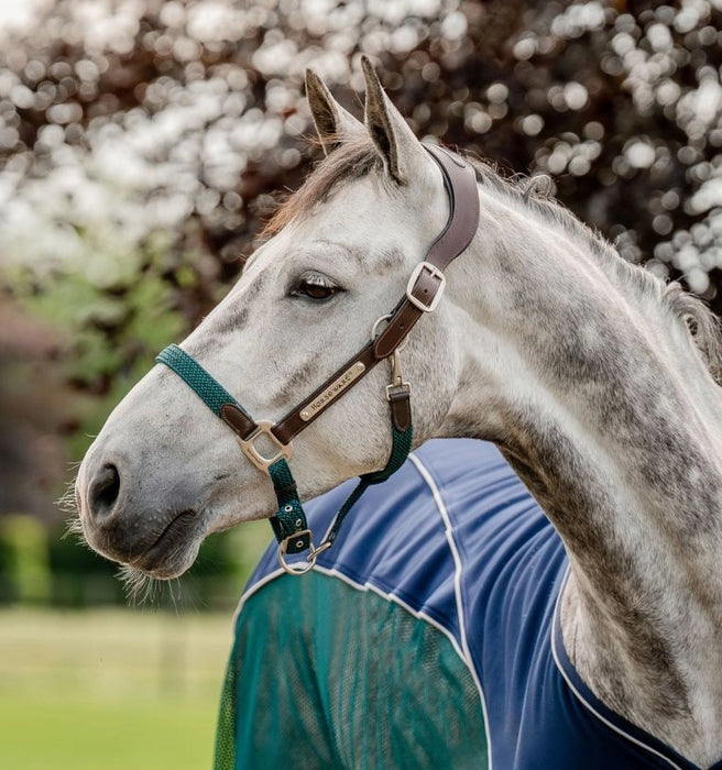 Horseware Signature Braided Halter