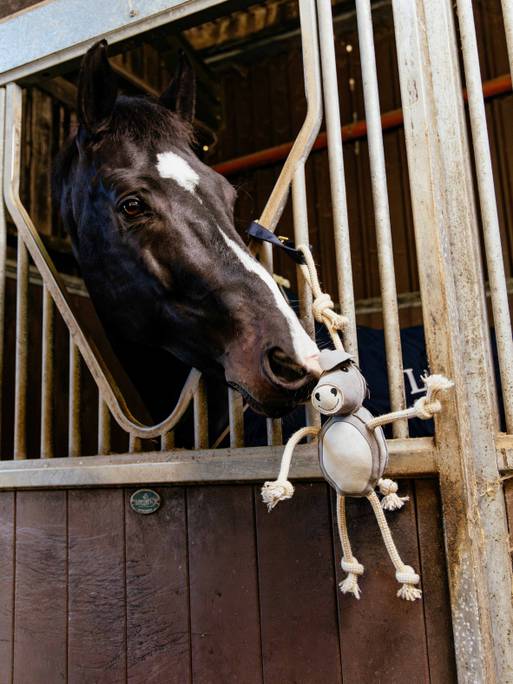 LeMieux Horse Toys