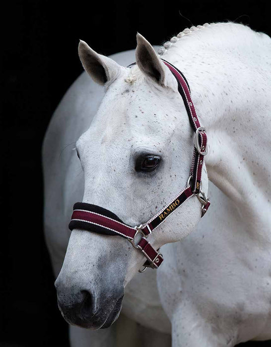 Rambo Padded Halter