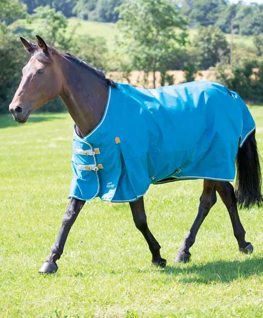 Shires Highlander Plus Standard Neck Turnout Sheet (0g Lite)