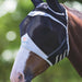 Fly Guard Pro by Shires Fine Mesh Fly Mask With Ears in Black - On Horse