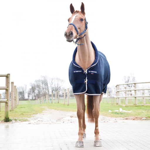 Stable Sheets — Performance Horse Blankets