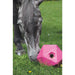 Shires Ball Feeder in Pink - With Horse