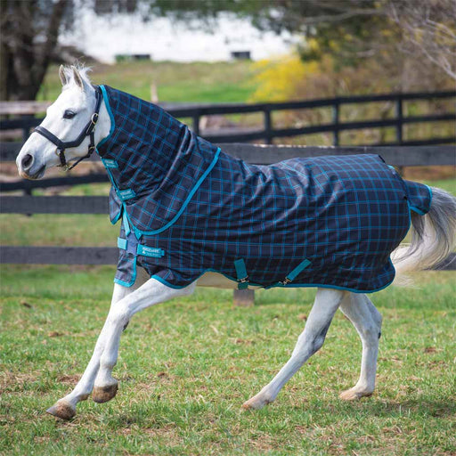 Amigo Turnouts — Performance Horse Blankets