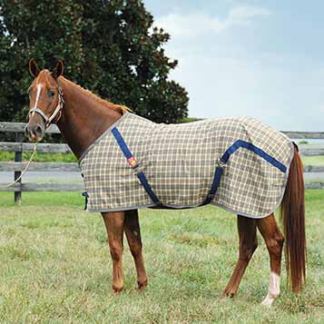 Stable Blankets — Performance Horse Blankets