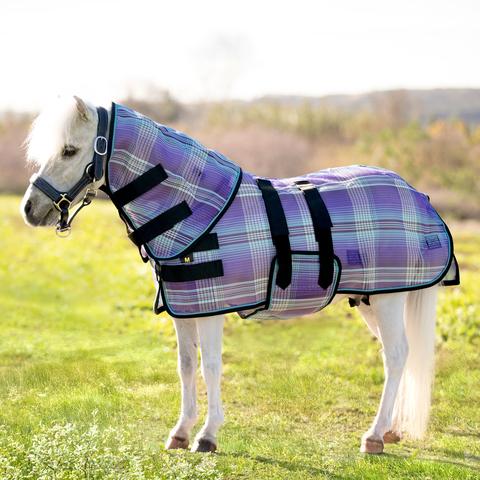 Miniature Horse and Pony Blanket – 5/A Baker Products