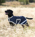 Amigo Ripstop Waterproof Dog Coat Navy with Silver trim