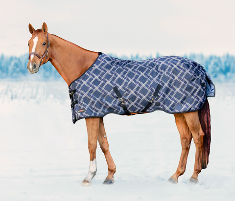 Kensington Signature Turnout Blanket (300g Heavy) — Performance Horse ...